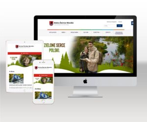 wykonanie dostępnej strony WWW wcag dla gminy